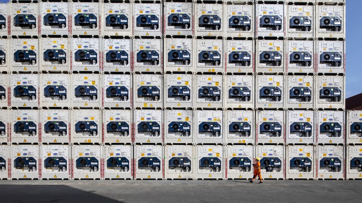 MSC REEFER.jpg